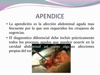 APENDICE
 La apendicitis es la afección abdominal aguda mas
frecuente por la que son requeridos los cirujanos de
urgencias.
 El diagnostico diferencial debe incluir prácticamente
todos los procesos agudos que pueden ocurrir en la
cavidad abdominal asi como algunas afecciones
propias del torax.
 