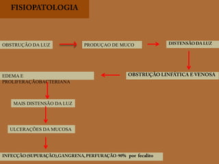 FISIOPATOLOGIAOBSTRUÇÃO DA LUZPRODUÇAO DE MUCODISTENSÃO DA LUZOBSTRUÇÃO LINFÁTICA E VENOSAEDEMA E PROLIFERAÇÃOBACTERIANAMAIS DISTENSÃO DA LUZULCERAÇÕES DA MUCOSAINFECÇÃO (SUPURAÇÃO),GANGRENA, PERFURAÇÃO-90%   por  fecalito