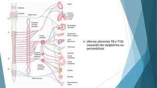 ➢ (Nervos aferentes T8 e T10)
causando dor epigástrica ou
periumbilical
 