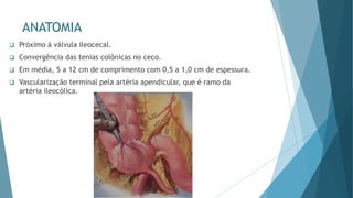 ANATOMIA
❑ Próximo à válvula ileocecal.
❑ Convergência das tenias colônicas no ceco.
❑ Em média, 5 a 12 cm de comprimento com 0,5 a 1,0 cm de espessura.
❑ Vascularização terminal pela artéria apendicular, que é ramo da
artéria ileocólica.
 