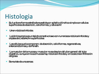 Histologia
 Su luz tie fo ae tre d re s ap r e ite c
            ne rm s lla a ve tid o p lio ilínd os p c n c lula
                                              ric im le o é s
  s e ia sd a s rc n, c lic rm s y c lula M
   up rfic le e b o ió a ifo e , é s

 Une nó ulo linfo e .
     n d s        id s

 Lalá inap p e un te o c ne tivo la c n num ro o nó ulo linfo e y
      m    ro ia s   jid o c        xo o    e ss d s          id s
  c ta d Lie e
   rip s e b rkühn s e ia s
                    up rfic le .

 La c lula q lac m o n: d a s rc n, c lic rm s re e ra s
    s é s ue o p ne e b o ió a ifo e , g ne tiva ,
  e ro nd c sy d P ne
   nte e ó rina e a th.

 Lam c r d lam o ay m c r nos d s n d l p n g ne l d l tub
     us ula e  uc s   us ula  e e vía e la e ra e          o
  d e tivo a uee las m o aha nó ulo linfo e y e o a io sinfiltra ió
   ig s , unq n ub uc s y d s            id s n c s ne          c n
  d g s.
   e ra a

 Sere ted unas ro a
      vis e    e s.
 