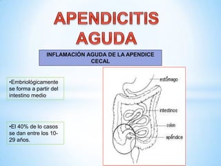 •Embriológicamente
se forma a partir del
intestino medio
•El 40% de lo casos
se dan entre los 10-
29 años.
INFLAMACIÓN AGUDA DE LA APENDICE
CECAL
 