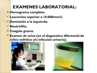 EXAMENES LABORATORIAL:
 Hemograma

completo.
 Leucocitos superior a 10.000/mm3.
 Desviación a la izquierda.
 Neutrofilia.
 Coagulo grama.
 Examen de orina (en el diagnostico diferencial de
cólico nefrítico y/o infección urinaria).

 