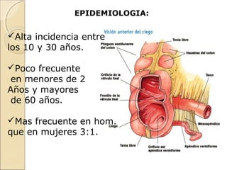 EPIDEMIOLOGIA:

Alta incidencia entre
los 10 y 30 años.
Poco frecuente
en menores de 2
Años y mayores
de 60 años.
Mas frecuente en hom.
que en mujeres 3:1.

 