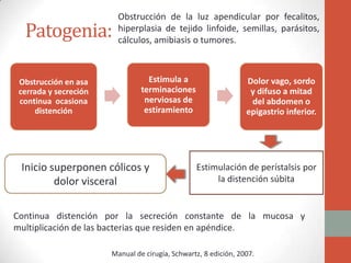 Patogenia:
Obstrucción en asa
cerrada y secreción
continua ocasiona
distención

Obstrucción de la luz apendicular por fecalitos,
hiperplasia de tejido linfoide, semillas, parásitos,
cálculos, amibiasis o tumores.

Estimula a
terminaciones
nerviosas de
estiramiento

Inicio superponen cólicos y
dolor visceral

Dolor vago, sordo
y difuso a mitad
del abdomen o
epigastrio inferior.

Estimulación de perístalsis por
la distención súbita

Continua distención por la secreción constante de la mucosa y
multiplicación de las bacterias que residen en apéndice.
Manual de cirugía, Schwartz, 8 edición, 2007.

 