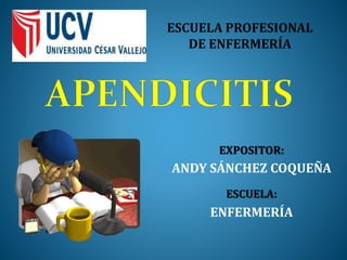 ESCUELA PROFESIONAL 
DE ENFERMERÍA 
EXPOSITOR: 
ANDY SÁNCHEZ COQUEÑA 
ESCUELA: 
ENFERMERÍA 
 