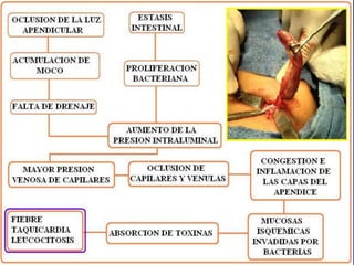 Dr. Eugenio Vargas Carbajal
 