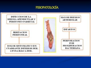 FISIOPATOLOGÍA
 