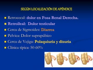  Retrocecal: dolor en Fosa Renal Derecha.
 Retroileal: Dolor testicular
 Cerca de Sigmoides: Diarrea
 Pelvica: Dolor suprapúbico
 Cerca de Vejiga: Polaquiuria y disuria
 Clínica típica: 50-60%
SEGÚN LOCALIZACIÓN DE APÉNDICE
 