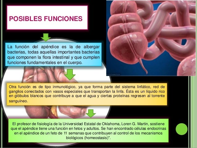 Apendicitis