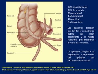 74%, son retrocecal
21% de la pelvis
2% paracaecal
1,5% subcaecal
1% pre-ileal
0,5% post-ileal.
Los pacientes también
pueden tener su apéndice
detrás del colon
ascendente y el hígado
haciendo presentaciones
clínicas más variable.
La agenesia congénita, la
duplicación y triplicación
del apéndice son
extremadamente raros.
Ellis H, Mahadevan V. Anatomy of the caecum, appendix and colon. Surgery Oxford. Intestinal Surgery I. Volume 32, Issue 4, April 2014, Pages 155–158
Chandrasekaran T, Johnson N . Acute appendicitis. Surgery Oxford. Volume 32, Issue 8, August 2014, Pages 413–417
 