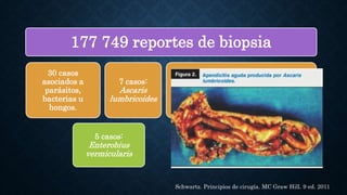 177 749 reportes de biopsia
30 casos
asociados a
parásitos,
bacterias u
hongos.
7 casos:
Ascaris
lumbricoides
5 casos: Entamoeba
histolytica
5 casos:
Enterobius
vermicularis
3 casos: por
Trichuris
trichiuria
Schwartz. Principios de cirugía. MC Graw Hill. 9 ed. 2011
 