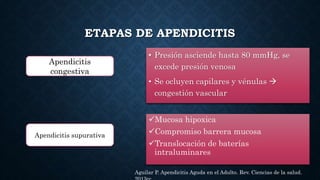 ETAPAS DE APENDICITIS
• Presión asciende hasta 80 mmHg, se
excede presión venosa
• Se ocluyen capilares y vénulas 
congestión vascular
Mucosa hipoxica
Compromiso barrera mucosa
Translocación de baterías
intraluminares
Apendicitis
congestiva
Apendicitis supurativa
Aguilar P. Apendicitis Aguda en el Adulto. Rev. Ciencias de la salud.
 