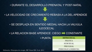 • DURANTE EL DESARROLLO PRENATAL Y POST-NATAL
• LA VELOCIDAD DE CRECIMIENTO REBASA A LA DEL APENDICE
• SE DESPLAZA EN SENTIDO MEDIAL HACIA LA VALVULA
ILEOCECAL
• LA RELACION BASE APENDICE: CIEGO CONSTANTE
• PUNTA: RETROCECAL
PELVICA
SUBCECAL
PRE-ILEAL
PERICOLICA DERECHA
Schwartz. Principios de cirugía. MC Graw Hill. 9 ed. 2011
 