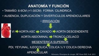 ANATOMÍA Y FUNCIÓN
• TAMAÑO: 6-9CM (<1-30CM) FORMA: CILINDRICA
• AUSENCIA, DUPLICACIÓN Y DIVERTICULOS APENDICULARES
• IRRIGACIÓN
VI AORTA ASC CAYADO AORTA DESCENDENTE
AORTA ABDOMINAL TRONCO CELIACO
MESENTERICA SUPERIOR
PDI, YEYUNAL, ILEOCOLICA, COLICA ½ Y COLICA DERECHA
APENDICULAR
Schwartz. Principios de cirugía. MC Graw Hill. 9 ed. 2011
 
