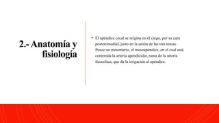 2.-Anatomía y
fisiología
 El apéndice cecal se origina en el ciego, por su cara
posteromedial, justo en la unión de las tres tenias.
Posee un mesenterio, el mesoapéndice, en el cual está
contenida la arteria apendicular, rama de la arteria
ileocolica, que da la irrigación al apéndice.
 