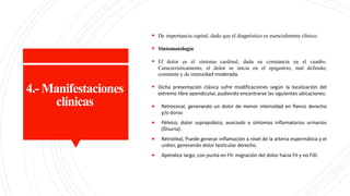 4.- Manifestaciones
clínicas
 De importancia capital, dado que el diagnóstico es esencialmente clínico.
 Sintomatología
 El dolor es el síntoma cardinal, dada su constancia en el cuadro.
Característicamente, el dolor se inicia en el epigastrio, mal definido,
constante y de intensidad moderada.
 Dicha presentación clásica sufre modificaciones según la localización del
extremo libre apendicular, pudiendo encontrarse las siguientes ubicaciones:
 Retrocecal, generando un dolor de menor intensidad en flanco derecho
y/o dorso
 Pélvico, dolor suprapúbico, asociado a síntomas inflamatorios urinarios
(Disuria).
 Retroileal, Puede generar inflamación a nivel de la arteria espermática y el
uréter, generando dolor testicular derecho.
 Apéndice largo, con punta en FII: migración del dolor hacia FII y no FID.
 