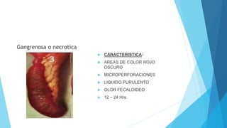 Gangrenosa o necrotica
 CARACTERISTICA:
 AREAS DE COLOR ROJO
OSCURO
 MICROPERFORACIONES
 LIQUIDO PURULENTO
 OLOR FECALOIDEO
 12 – 24 Hrs.
 