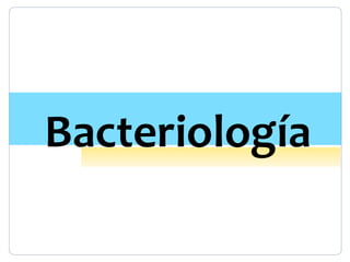 Bacteriología
 