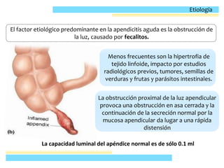 El factor etiológico predominante en la apendicitis aguda es la obstrucción de
la luz, causado por fecalitos.
Menos frecuentes son la hipertrofia de
tejido linfoide, impacto por estudios
radiológicos previos, tumores, semillas de
verduras y frutas y parásitos intestinales.
La obstrucción proximal de la luz apendicular
provoca una obstrucción en asa cerrada y la
continuación de la secreción normal por la
mucosa apendicular da lugar a una rápida
distensión
La capacidad luminal del apéndice normal es de sólo 0.1 ml
Etiología
 