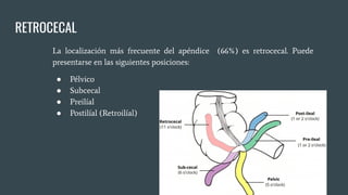 RETROCECAL
La localización más frecuente del apéndice (66%) es retrocecal. Puede
presentarse en las siguientes posiciones:
● Pélvico
● Subcecal
● Preilíal
● Postilíal (Retroilíal)
 