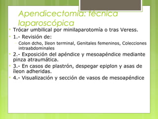 Apendicectomía: técnica 
laparoscópica 
 Trócar umbilical por minilaparotomía o tras Veress. 
 1.- Revisión de: 
– Colon dcho, Ileon terminal, Genitales femeninos, Colecciones 
intraabdominales 
 2.- Exposición del apéndice y mesoapéndice mediante 
pinza atraumática. 
 3.- En casos de plastrón, despegar epiplon y asas de 
íleon adheridas. 
 4.- Visualización y sección de vasos de mesoapéndice 
 