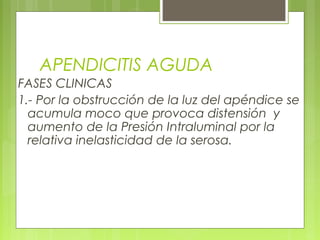 APENDICITIS AGUDA 
FASES CLINICAS 
1.- Por la obstrucción de la luz del apéndice se 
acumula moco que provoca distensión y 
aumento de la Presión Intraluminal por la 
relativa inelasticidad de la serosa. 
 