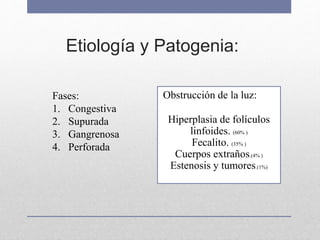 Etiología y Patogenia:
Fases:
1. Congestiva
2. Supurada
3. Gangrenosa
4. Perforada
Obstrucción de la luz:
Hiperplasia de folículos
linfoides. (60% )
Fecalito. (35% )
Cuerpos extraños.(4% )
Estenosis y tumores.(1%)
 
