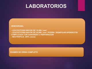 HEMOGRAMA:
- LEUCOCITOSIS MAYOR DE 10,000 / mm3
- LEUCOCITOSIS MAYOR DE 20,000 / mm3
PODRIA SIGNIFICAR APENDICITIS
COMPLICADA CON GANGRENA o PERFORACION
- NEUTROFILIA (95% casos)
EXAMEN DE ORINA COMPLETO
LABORATORIOS
 