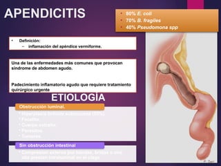 APENDICITIS
Una de las enfermedades más comunes que provocan
síndrome de abdomen agudo.
Padecimiento inflamatorio agudo que requiere tratamiento
quirúrgico urgente
• Definición:
– inflamación del apéndice vermiforme.
• Hiperplasia linfoide submucosa (55%).
• Fecalito.
• Cuerpo extraño.
• Parásitos.
• Tumores.
Obstrucción luminal.
• Compresion externa por bandas, bridas o una
alta presion intraluminal en el ciego
Sin obstrucción intestinal
ETIOLOGÍA
• 80% E. coli
• 70% B. fragiles
• 40% Pseudomona spp
 