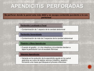APENDICITIS PERFORADAS
Se perforan donde la pared esta más débil y se escapa contenido purulento a la cav.
peritoneal
• Contaminación de 1 espacio de la cavidad abdominal
Peritonitis Localizada o Focal
• Contaminación de más de 2 espacios de la cavidad abdominal
Peritonitis Generalizada
• Cuando el epiplón y/ o los intestinos circundantes tienden a
tapar la perforación con el exudado fibrinoso
Plastrón o Masa Apendicular
• Variante en la evolución de la apendicitis aguda en la cual el
apéndice se cubre de tejidos vecinos (intestino, epiplón)
formando una masa que bloquea el proceso infeccioso
Absceso Apendicular
 