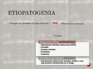 Porque se produce la apendicitis ? Obstrucción luminal
Causas:
• Hiperplasia linfoide submucosa (55%).
• Fecalito.
• Cuerpo extraño.
• Parásitos.
• Tumores.
Obstrucción luminal.
• Compresion externa por bandas, bridas o una
alta presion intraluminal en el ciego
Sin obstrucción intestinal
 