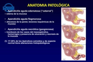 • Apendicitis aguda edematosa (“catarral”)
– edema de la mucosa
• Apendicitis aguda flegmonosa
– abscesos de la pared, lesiones isquémicas de la
mucosa
• Apendicitis aguda necrótica (gangrenosa)
– trombosis de los vasos del mesoapéndice,
hemorragia y presencia de ulceración y necrosis de
la mucosa
(!): 17-26% de los Apéndices extraidos y de aspecto
normal tiene alteraciones histopatológicas
ANATOMIA PATOLÓGICA
 