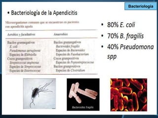 Bacteriología
 