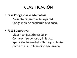 CLASIFICACIÓN
• Fase Congestiva o edematosa:
Presenta hiperemia de la pared
Congestión de predominio venoso.
• Fase Supurativa:
Mayor congestión vascular.
Compromiso venoso y linfático.
Aparición de exudado fibrinopurulento.
Comienza la proliferación bacteriana.
 