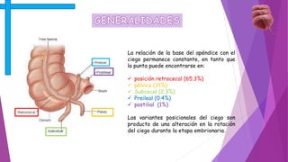 Apendicitis Aguda PPTX