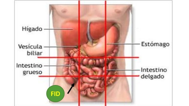diabetes insípida fisiopatología central de la apéndice