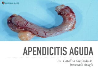 APENDICITIS AGUDA
Int. Catalina Guajardo M.
Internado cirugía
 