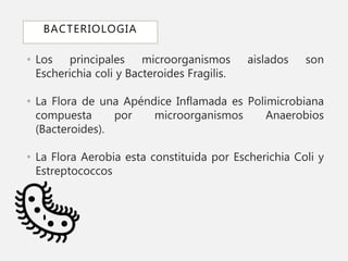 BACTERIOLOGIA
• Los principales microorganismos aislados son
Escherichia coli y Bacteroides Fragilis.
• La Flora de una Apéndice Inflamada es Polimicrobiana
compuesta por microorganismos Anaerobios
(Bacteroides).
• La Flora Aerobia esta constituida por Escherichia Coli y
Estreptococcos
 