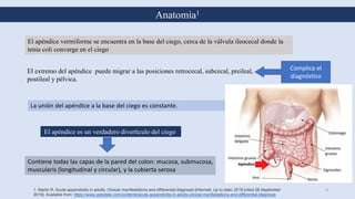Anatomía1
1. Martin R. Acute appendicitis in adults: Clinical manifestations and differential diagnosis [Internet]. Up to date; 2018 [cited 28 September
2019]. Available from: https://www.uptodate.com/contents/acute-appendicitis-in-adults-clinical-manifestations-and-differential-diagnosis
4
El apéndice vermiforme se encuentra en la base del ciego, cerca de la válvula ileocecal donde la
tenia coli converge en el ciego
El apéndice es un verdadero divertículo del ciego
Contiene todas las capas de la pared del colon: mucosa, submucosa,
muscularis (longitudinal y circular), y la cubierta serosa
El extremo del apéndice puede migrar a las posiciones retrocecal, subcecal, preileal,
postileal y pélvica.
Complica el
diagnóstico
La unión del apéndice a la base del ciego es constante.
 