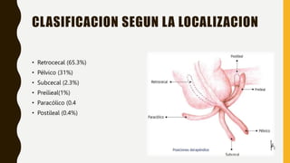 CLASIFICACION SEGUN LA LOCALIZACION
• Retrocecal (65.3%)
• Pélvico (31%)
• Subcecal (2.3%)
• Preilieal(1%)
• Paracólico (0.4
• Postileal (0.4%)
 