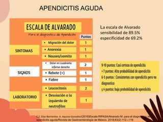 APENDICITIS AGUDA. Guía basada en evidencia sobre el tratamiento y ...