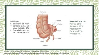APENDICITIS AGUDA.pptx APENDICITIS AGUDA.pptx APENDICITIS AGUDA ...