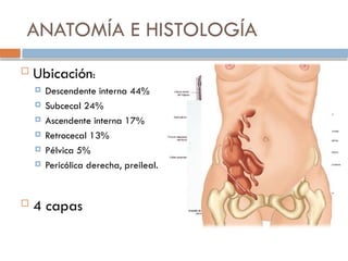 Comprehensive Overview of Acute Appendicitis: Diagnosis, Treatment, and ...