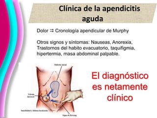 Clínica de la apendicitis
aguda
Dolor  Cronología apendicular de Murphy
Otros signos y síntomas: Nauseas, Anorexia,
Trastornos del habito evacuatorio, taquifigmia,
hipertermia, masa abdominal palpable.
El diagnóstico
es netamente
clínico
 