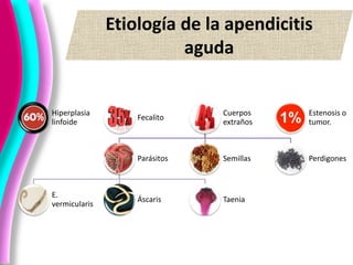 Etiología de la apendicitis
aguda
Hiperplasia
linfoide
Fecalito
Cuerpos
extraños
Parásitos
E.
vermicularis
Áscaris Taenia
Semillas Perdigones
Estenosis o
tumor.
 