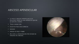 •
•
•
•
•
•
 