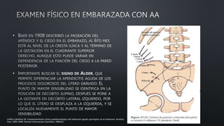 •
•
Laffita Labañino W. Comportamiento clínico epidemiológico del abdomen agudo quirúrgico en el embarazo. Burkina
Faso. 2003-2006. Revista Información Científica. 2009;62.
 