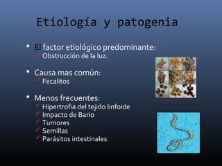 Etiología y patogenia
 El factor etiológico predominante:
 Obstrucción de la luz.
 Causa mas común:
 Fecalitos
 Menos frecuentes:
 Hipertrofia del tejido linfoide
 Impacto de Bario
 Tumores
 Semillas
 Parásitos intestinales.
 