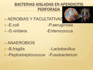 BACTERIAS AISLADAS EN APENDICITIS
                PERFORADA

 AEROBIAS Y FACULTATIVAS
 -E.coli          -P.aeruginosa
 -S.viridans     -Enterococcus

 ANAEROBIOS
 -B.fragilis          -Lactobacillus
 -Peptostreptococcus -Fusobacterium
 